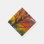 Serviette En Papier Feuilles d'automne de la photo jaune et orange (Coin)