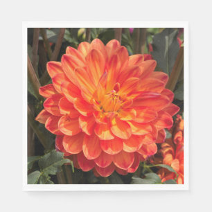 Serviette En Papier Fiery Dahlia