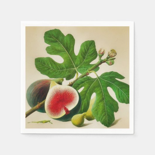 Serviette En Papier figues vintages (Devant)
