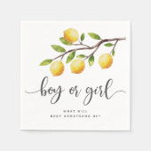 Serviette En Papier Fille Citrus Citrus Citrus Genre Revela Party (Devant)