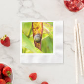 Serviette En Papier fixation calme (En situation)