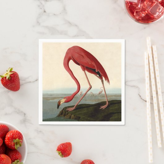 Serviette En Papier Flamant rose américain d'Audubon (En situation)