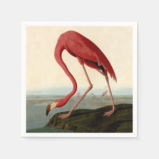 Serviette En Papier Flamant rose américain d'Audubon (Devant)