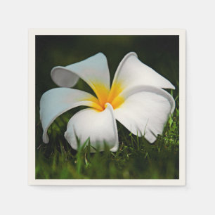 Serviette En Papier Fleur blanche d'Hawaï de Frangipani de Plumeria
