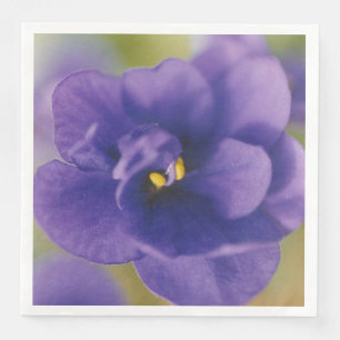 Serviette En Papier Fleur bleue en fleurs de Saintpaulia violette zoom