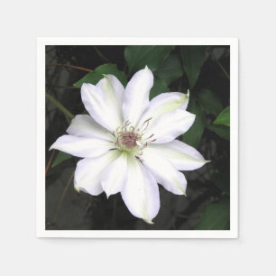 Serviette En Papier Fleur de clématite blanche