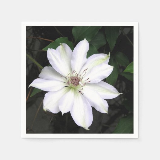 Serviette En Papier Fleur de clématite blanche (Devant)