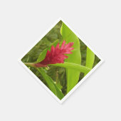 Serviette En Papier Fleur de gingembre rouge (Alpinia) tropicale (Coin)