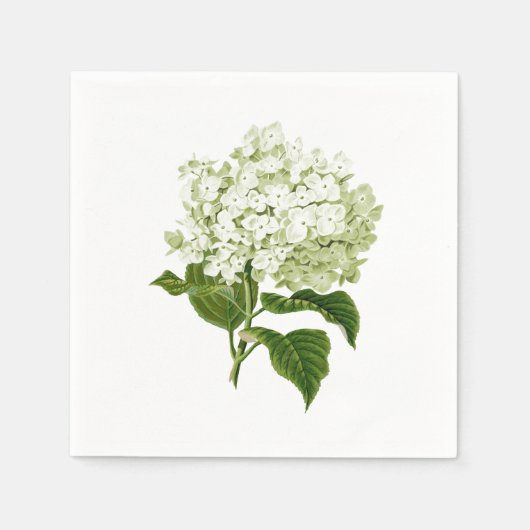Serviette En Papier Fleur de Hortensia Antique Blanche et Vert Pâle (Devant)