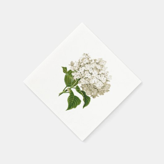 Serviette En Papier Fleur d'Hydrangée blanche crémeuse (Coin)