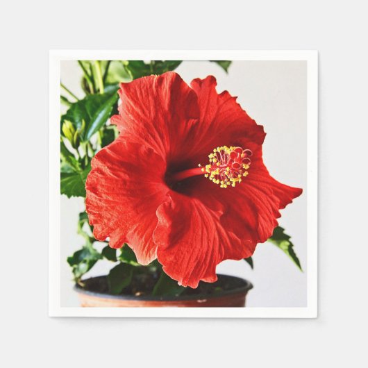 Serviette En Papier Fleur rouge de ketmie (Devant)