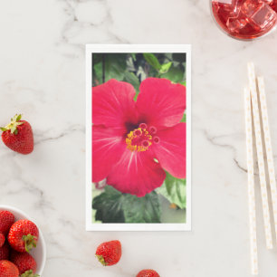 Serviette En Papier Fleur rouge d'Hibiscus Rosa-sinensis