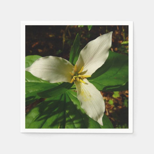 Serviette En Papier Fleur sauvage de printemps blanc Trillium Flower (Devant)