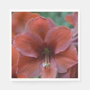 Serviette En Papier Fleur tropicale rouge