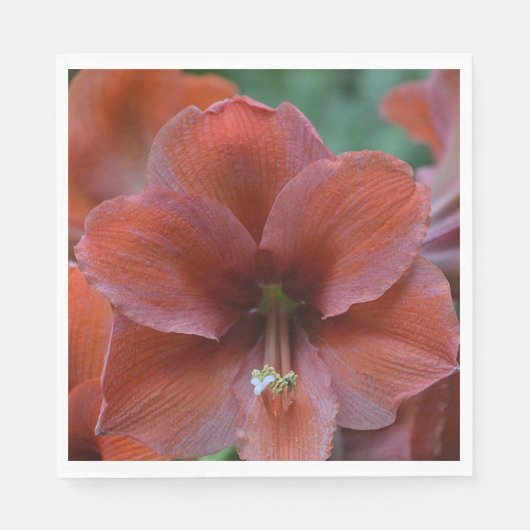 Serviette En Papier Fleur tropicale rouge (Devant)
