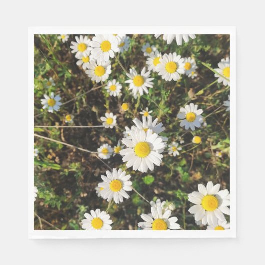 Serviette En Papier Fleurs Chamomiles (Devant)