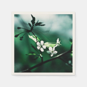 Serviette En Papier Fleurs de cerisiers blancs