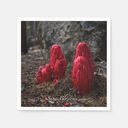 Serviette En Papier Fleurs de neige (Devant)