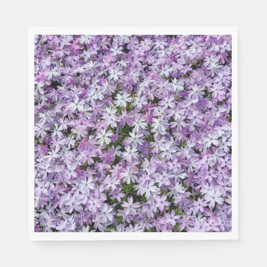Serviette En Papier Fleurs violettes Phlox (Devant)