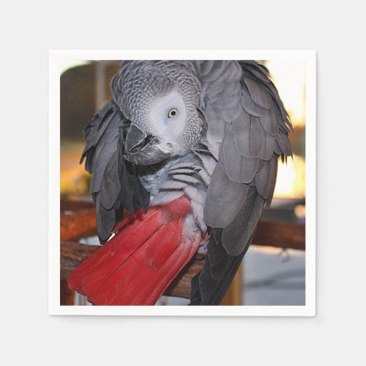 Serviette En Papier Flexible Congo perroquet gris africain avec queue (Devant)