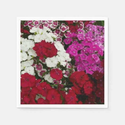 Serviette En Papier Floral Dianthus blanc, rose et rouge (Devant)