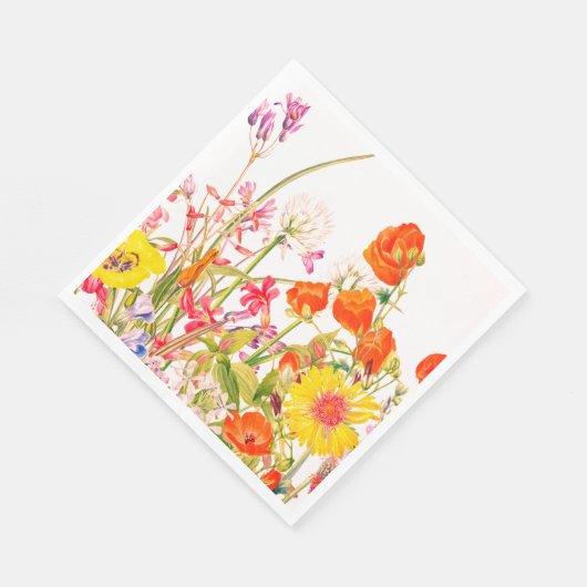 Serviette En Papier Florales Orange, Jaune, Bleu, Mauve (Coin)