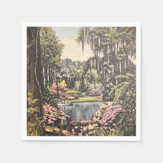 Serviette En Papier Floride Vintage Napkin (Devant)
