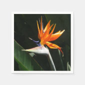 Serviette En Papier Flower tropical orange paradise (Devant)