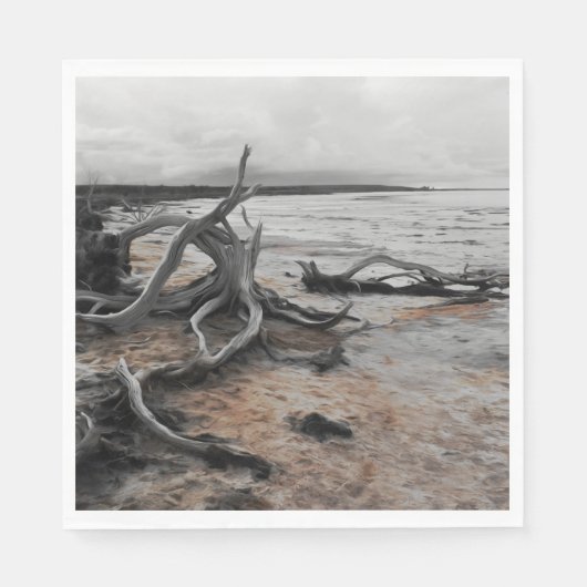 Serviette En Papier Forces naturelles du lac Tyrrell (Devant)