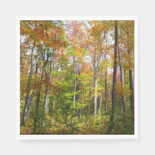 Serviette En Papier Forêt d'automne I Photographie de paysage automnal