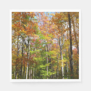 Serviette En Papier Forêt d'automne II Photographie de paysage automna