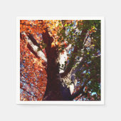 Serviette En Papier Forêt d'érable feuilles automne botanique (Devant)