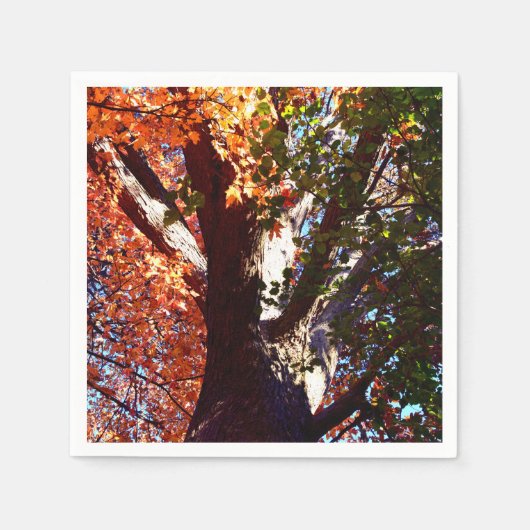 Serviette En Papier Forêt d'érable feuilles automne botanique (Devant)