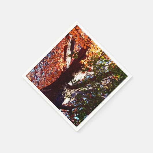 Serviette En Papier Forêt d'érable feuilles automne botanique (Coin)