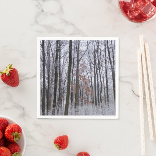 Serviette En Papier Forêt huppée neige paysage d'hiver Photographie (En situation)