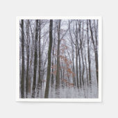 Serviette En Papier Forêt huppée neige paysage d'hiver Photographie (Devant)