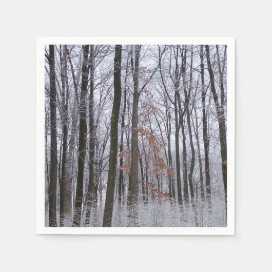 Serviette En Papier Forêt huppée neige paysage d'hiver Photographie (Devant)