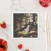 Serviette En Papier Forêt nationale de Willamette (En situation)