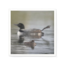 Fou à longues pattes