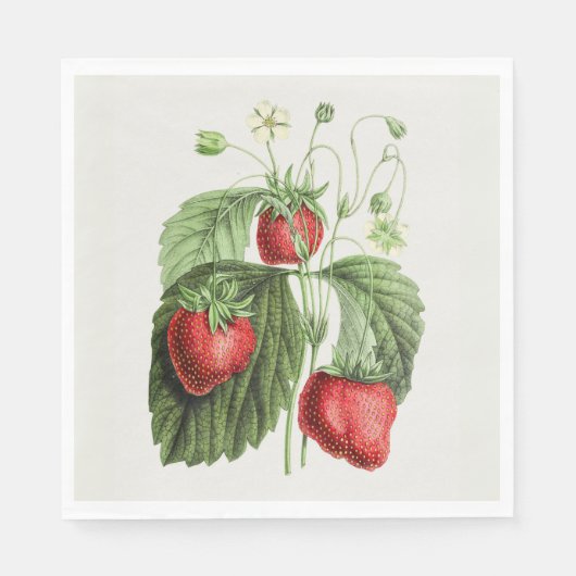 Serviette En Papier Fraise vintage (Devant)