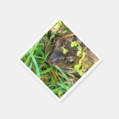 SERVIETTE EN PAPIER FROG (Coin)