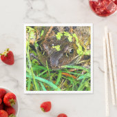 SERVIETTE EN PAPIER FROG (En situation)
