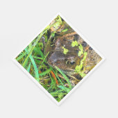 SERVIETTE EN PAPIER FROG (Coin)