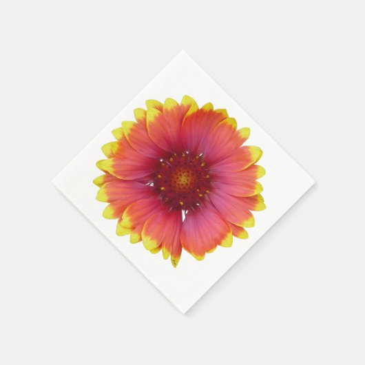 Serviette En Papier Gaillardia 1 (Coin)