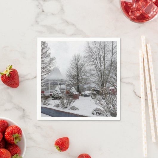 Serviette En Papier Gazebo et Cannon (En situation)
