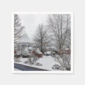 Serviette En Papier Gazebo et Cannon (Devant)