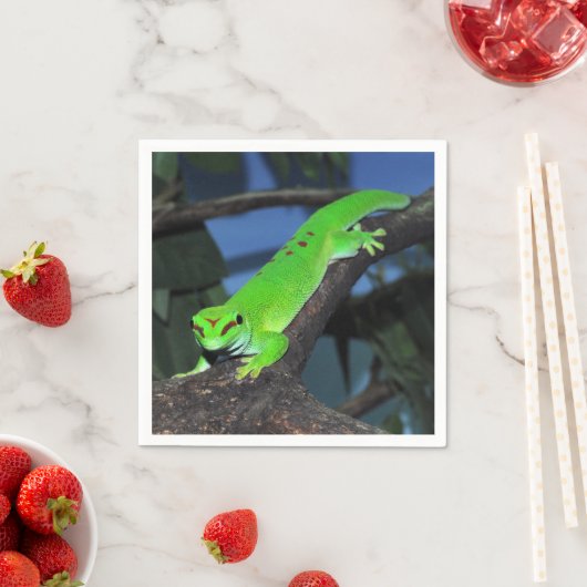 Serviette En Papier Gecko malgache (En situation)