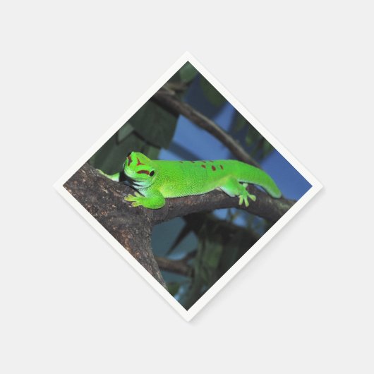 Serviette En Papier Gecko malgache (Coin)