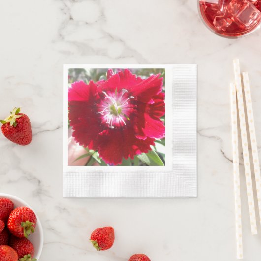 Serviette En Papier Geertje (En situation)