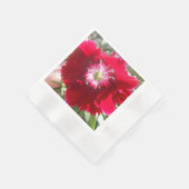 Serviette En Papier Geertje (Coin)